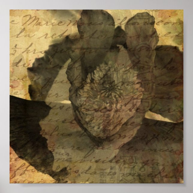 Poppy 3 poster (Vorne)