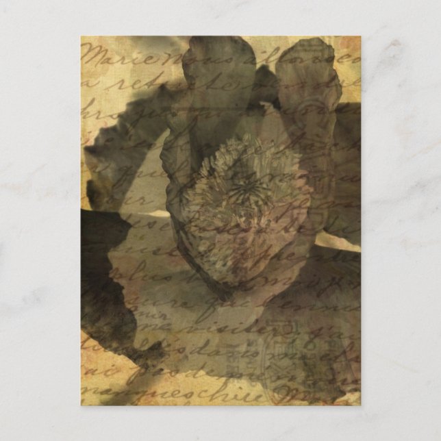 Poppy 3 postkarte (Vorderseite)