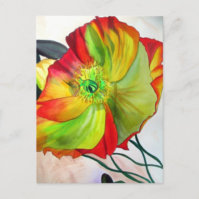 Poppy Art Makro-Mohn Postkarte (Vorderseite)