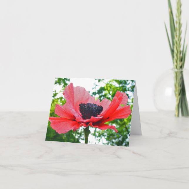 Poppy Blank Notecard Karte (Vorderseite)