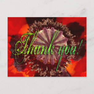 Poppy Blossom - Danke Postkarte