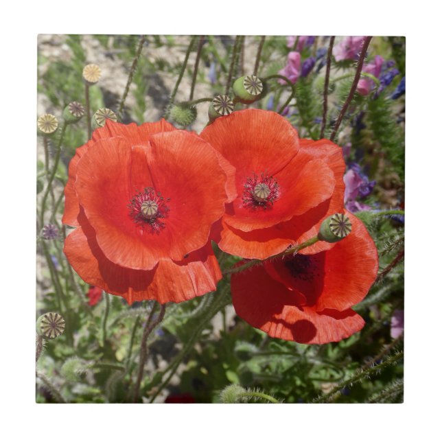 POPPY-BLUME FLIESE (Vorderseite)