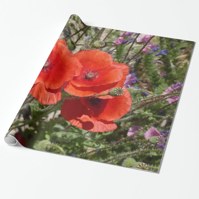 POPPY-BLUME GESCHENKPAPIER (Ungerollt)