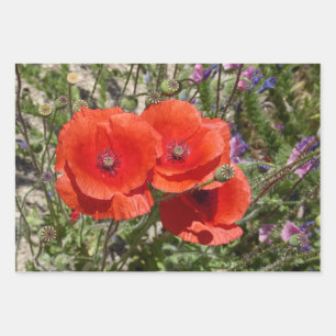 POPPY-BLUME GESCHENKPAPIER SET