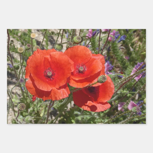 POPPY-BLUME GESCHENKPAPIER SET (Vorderseite)
