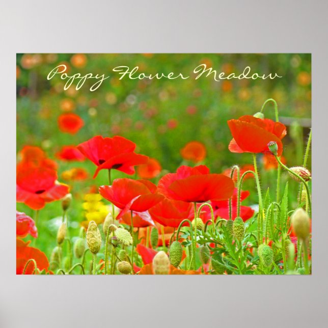 Poppy Blume Meadow Art druckt Blumenmotive Poster (Vorne)