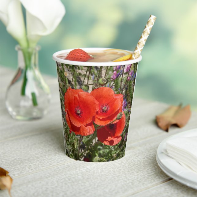 POPPY-BLUME PAPPBECHER (In Situ)