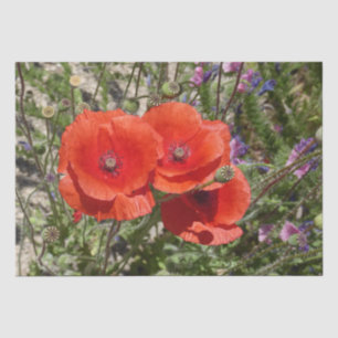 POPPY-BLUME SEIDENPAPIER