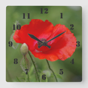 Poppy Clock Quadratische Wanduhr