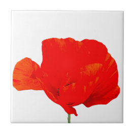 POPPY Collection 06 Tile Fliese