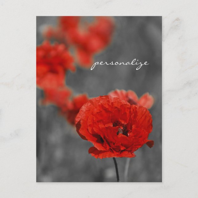 Poppy Comet Postkarte (Vorderseite)