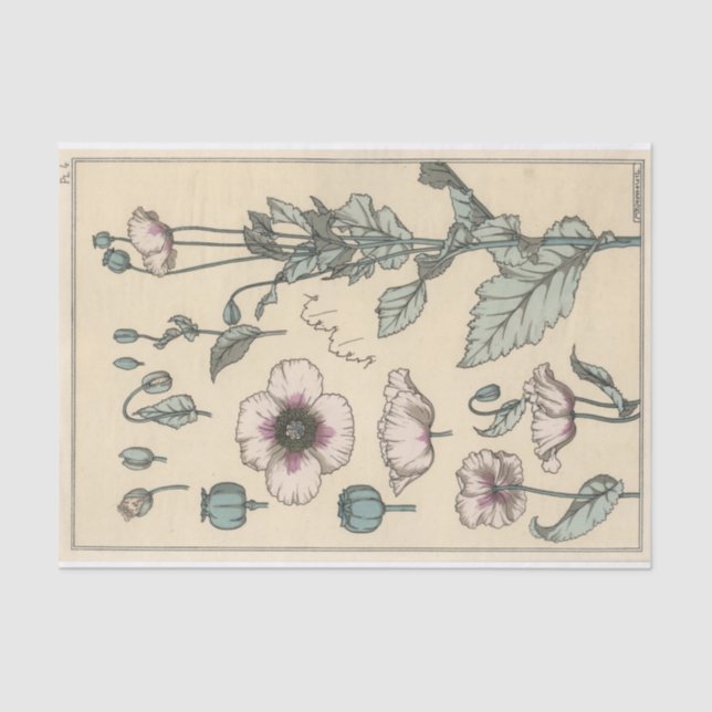 Poppy, die Botany-Serie von Eugene Grasset Seidenpapier (Vorderseite)