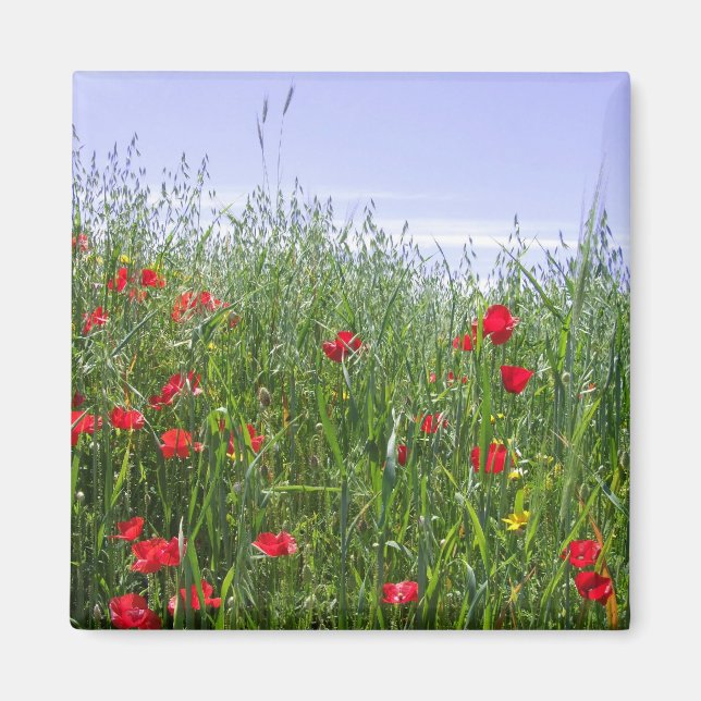 Poppy Field Magnet (Vorne)