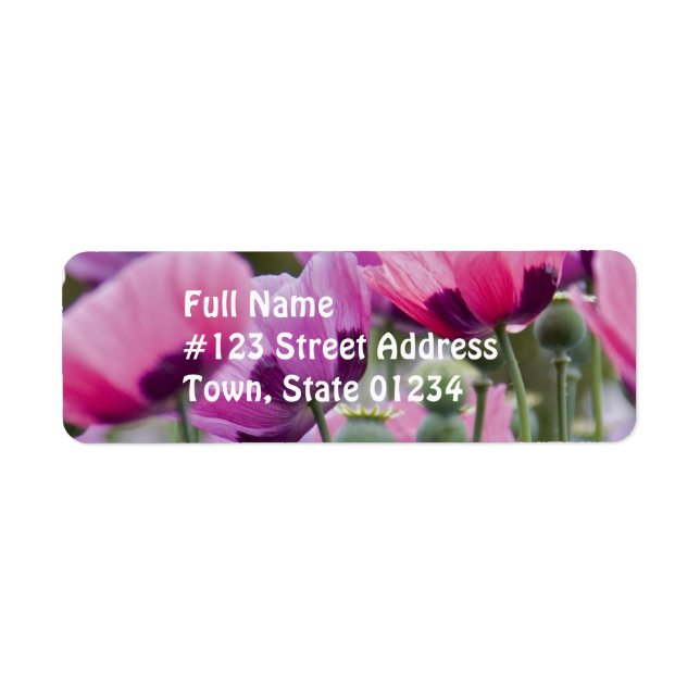 Poppy Field-Mailing-Label (Vorne)