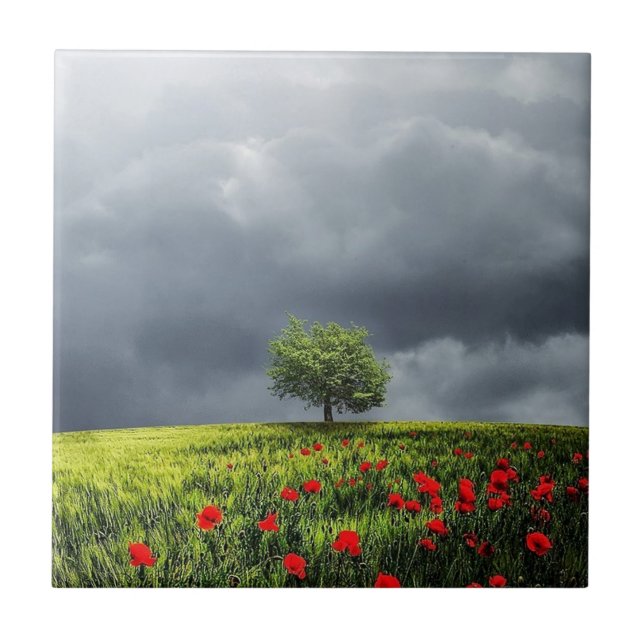 Poppy Field und Cloudy Sky Fliese (Vorderseite)