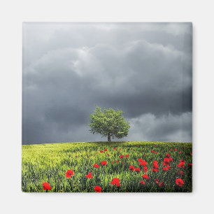 Poppy Field und Cloudy Sky Magnet