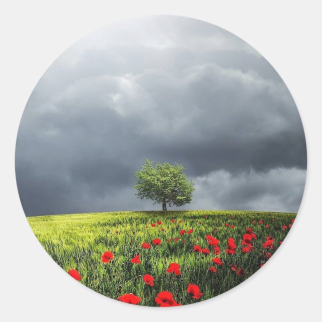 Poppy Field und Cloudy Sky Runder Aufkleber (Vorderseite)
