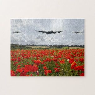 Poppy Flypast Puzzle