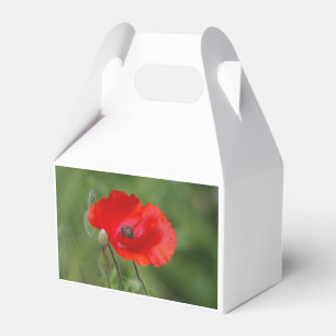 Poppy Geschenkschachtel