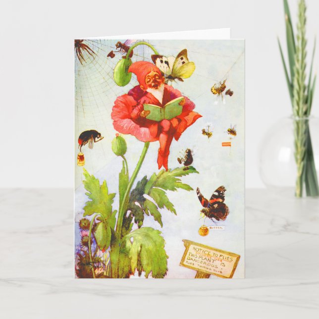 Poppy Gnome Karte (Vorderseite)