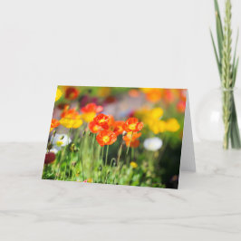 Poppy-Grußkarte Karte
