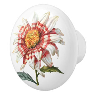 Poppy in Red White Gingham Keramikknauf