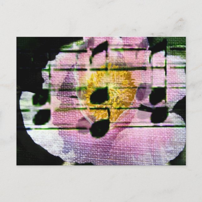 Poppy Music Postkarte (Vorderseite)