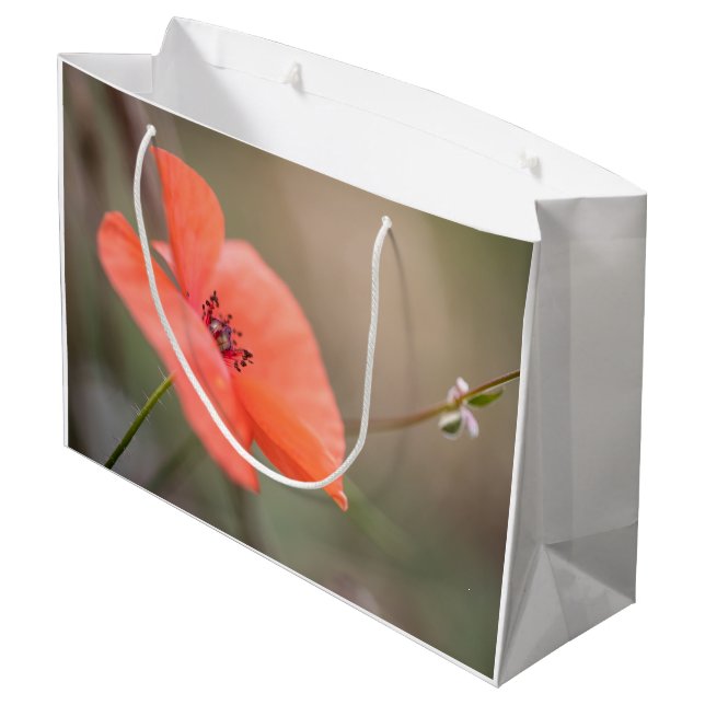 Poppy Nature Foto Große Geschenktüte (Rückseite Schrägansicht)