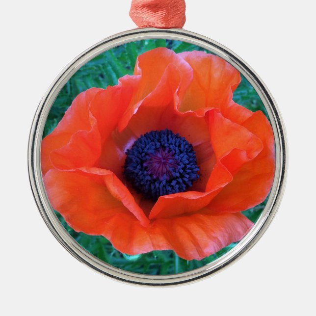 POPPY Oriental Red Orange — Ornament Aus Metall (Vorne)
