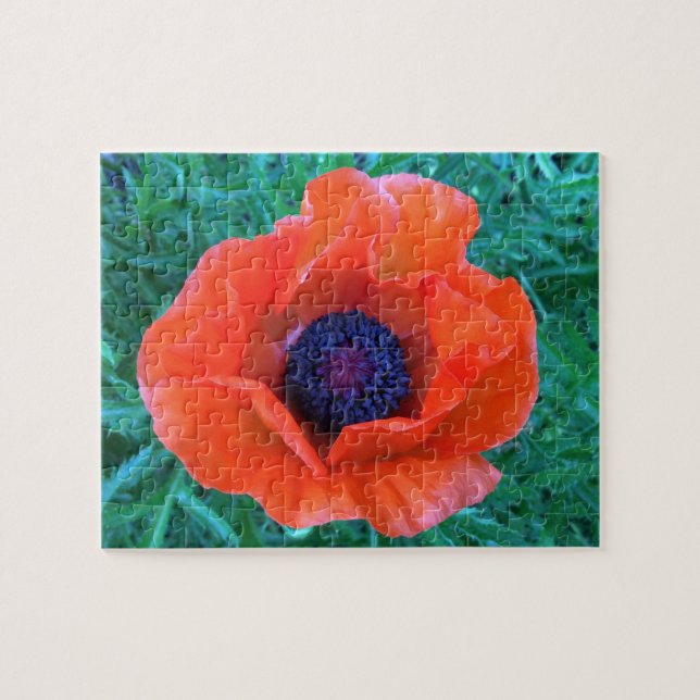 POPPY Oriental Red Orange — Puzzle (Horizontal)