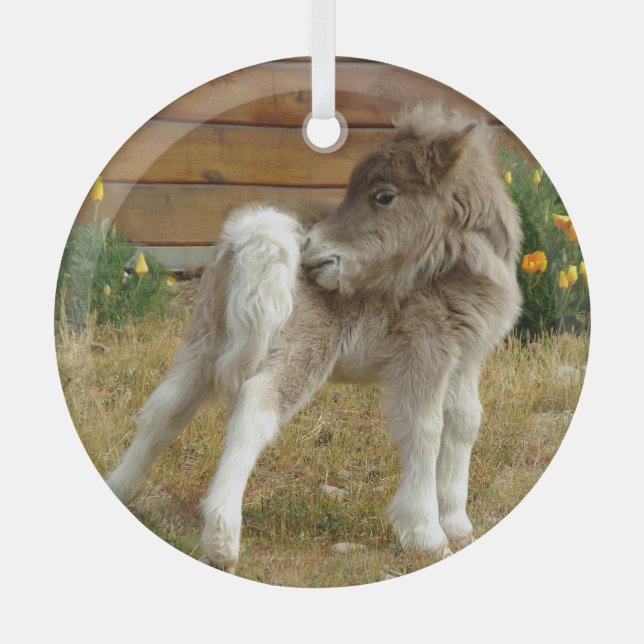 Poppy Pony Ornament Aus Glas (Vorderseite)