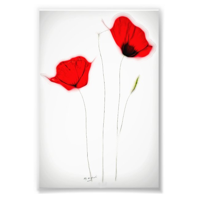 POPPY POSTER (Vorne)