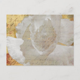 Poppy Postkarte