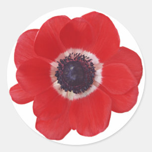 Poppy Runder Aufkleber