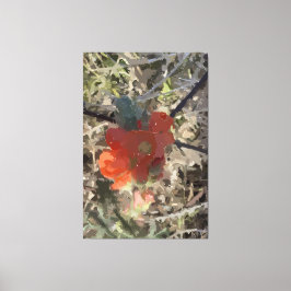 Poppy Stretched Canvas Print Leinwanddruck
