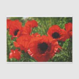 Poppy Tissue Paper Seidenpapier