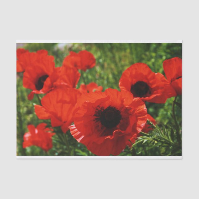 Poppy Tissue Paper Seidenpapier (Vorderseite)