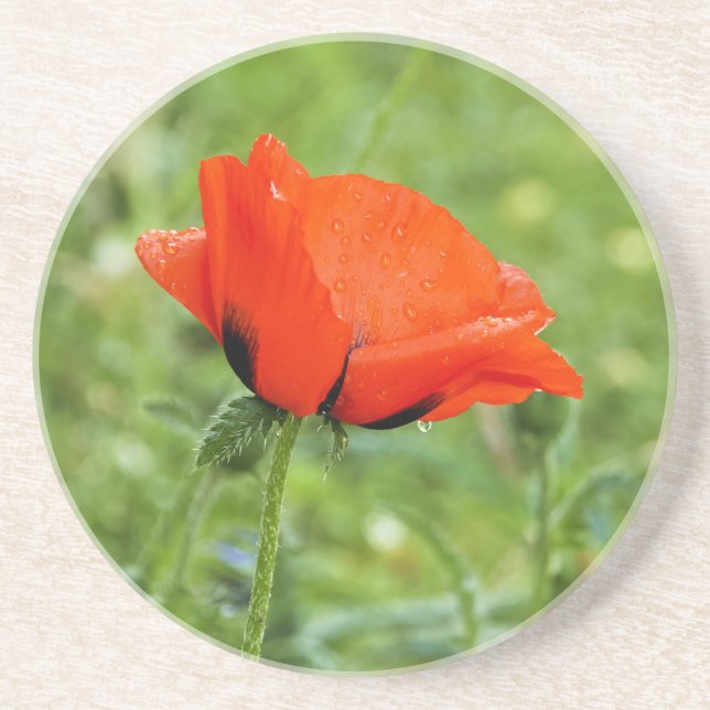 Poppy-Untersetzer Getränkeuntersetzer (Vorne)