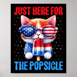 Popsikel 4. Juli Cat USA Flag Patriot Poster