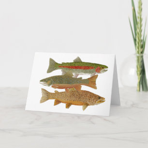 Populäre Forelle Karte