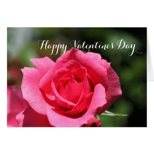 Populäre, perfekt rosa Rosa Blume glücklich Valent (Vorderseite (Horizontal))