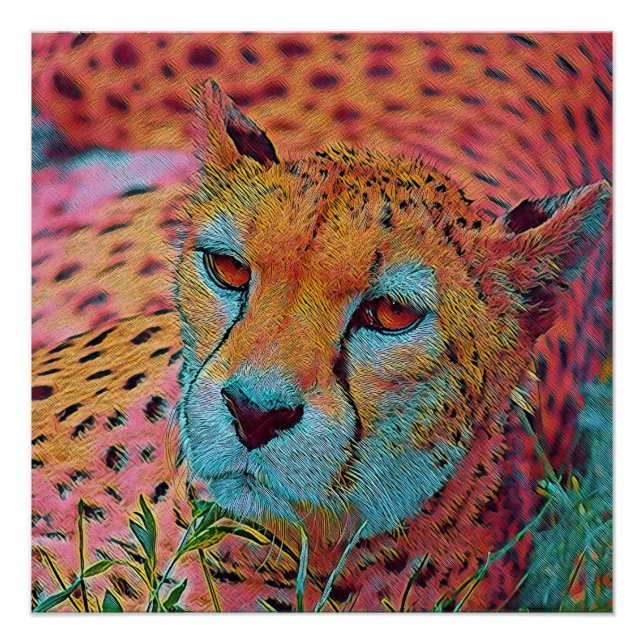 Populäre Tiere - Geparden Poster (Vorderseite)