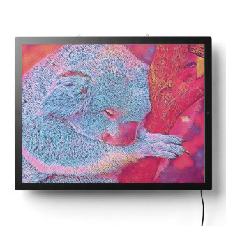 populäre Tiere - Koala