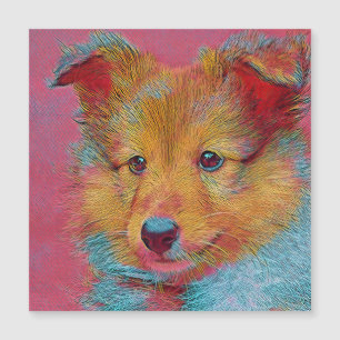 populäre Tiere - Welpen Magnetkarte