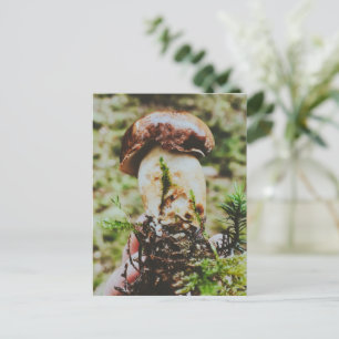 Porcini Mushroom im schwedischen Wald Feiertagspostkarte