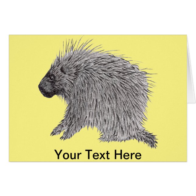 Porcupine (Vorderseite (Horizontal))