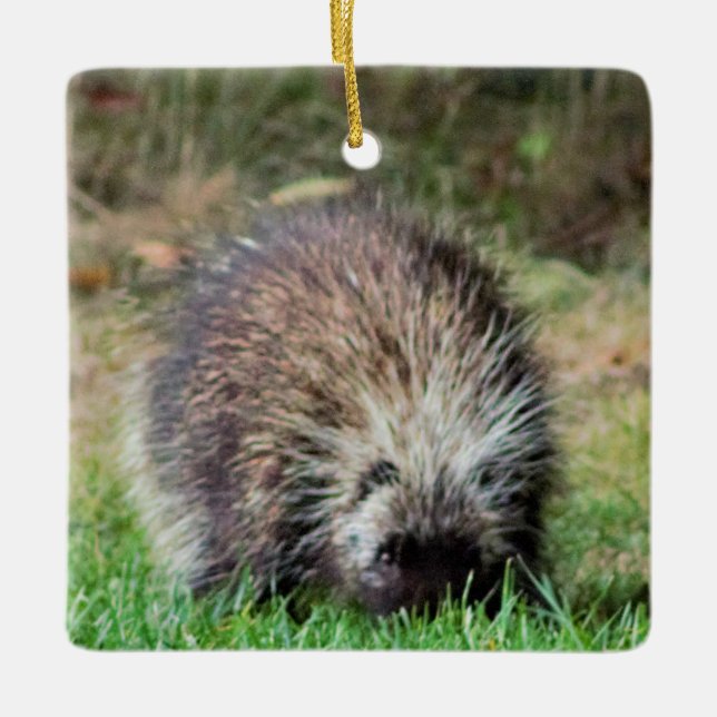 Porcupine bei Ricketts Glenn Keramikornament (Vorderseite)