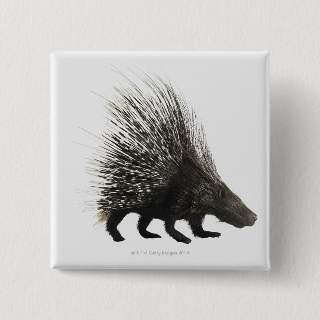 Porcupine Button (Vorderseite)