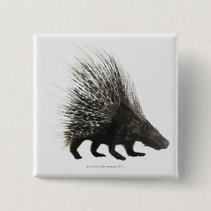 Porcupine Button