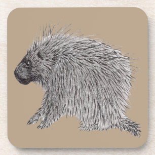 Porcupine Getränkeuntersetzer